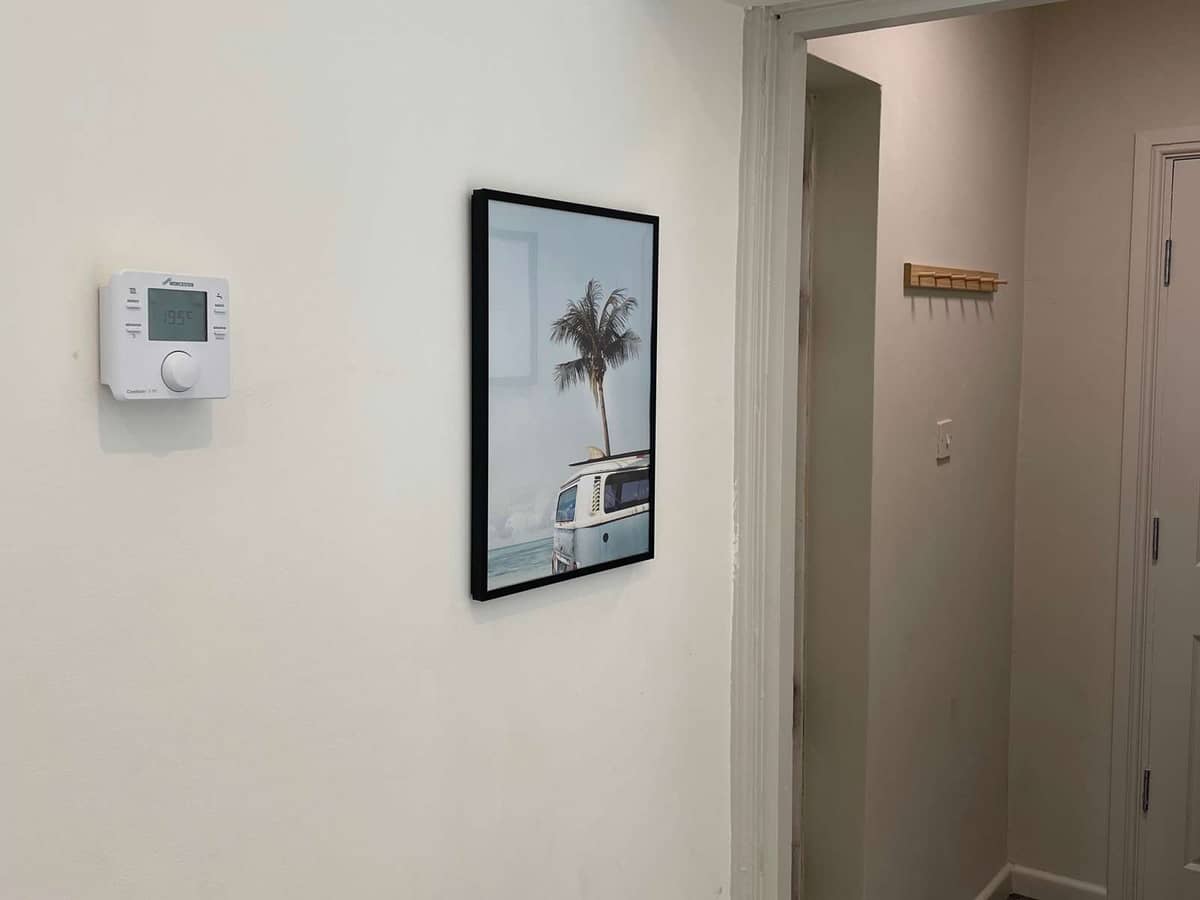 IMG_7305.jpeg